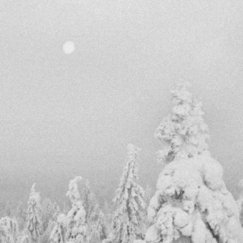 Vintlechkeit : Ødeleggelse og Skygger​.​.​.